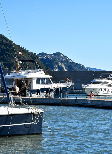 Porto Carlo Riva, contatti